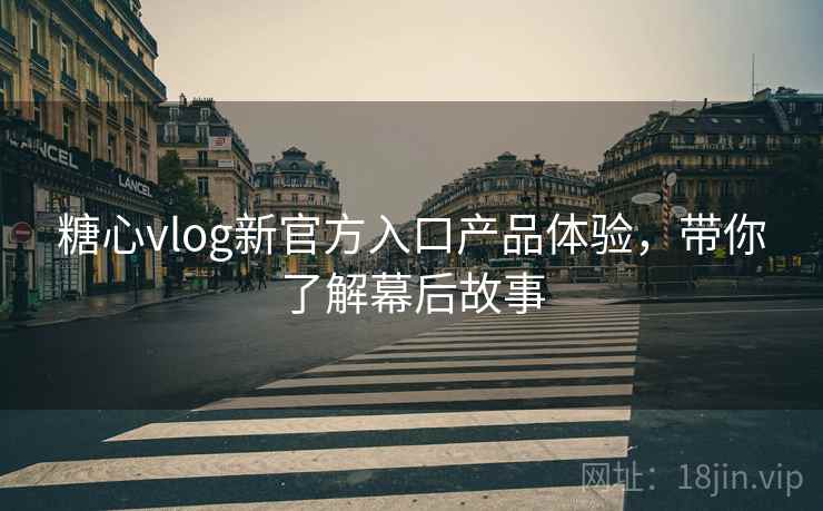 糖心vlog新官方入口产品体验,带你了解幕后故事 第2张 糖心vlog新官方入口产品体验,带你了解幕后故事 第2张