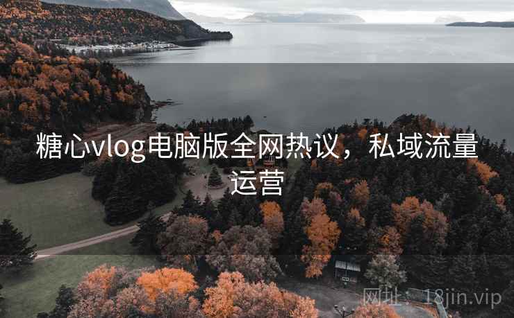 糖心vlog电脑版全网热议,私域流量运营