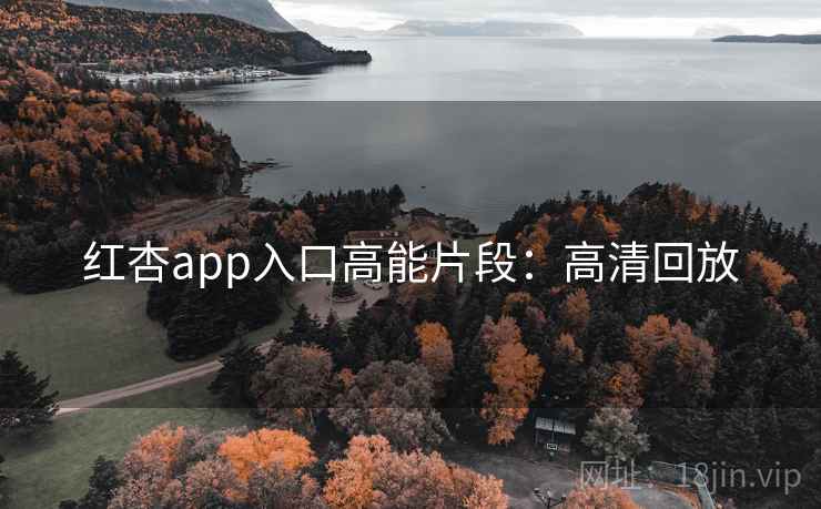 红杏app入口高能片段：高清回放