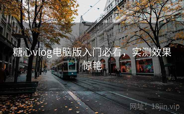 糖心vlog电脑版入门必看,实测效果惊艳