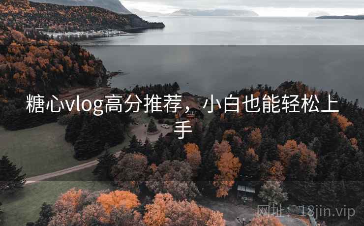 糖心vlog高分推荐，小白也能轻松上手
